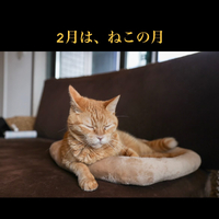 画像345