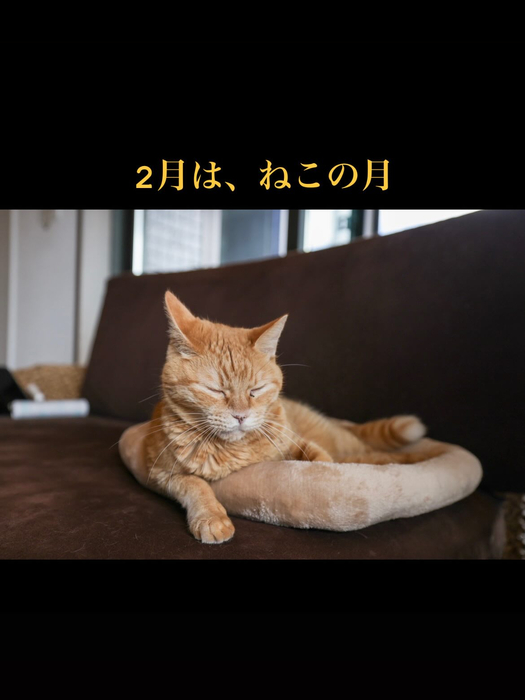 画像345