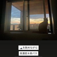 画像367