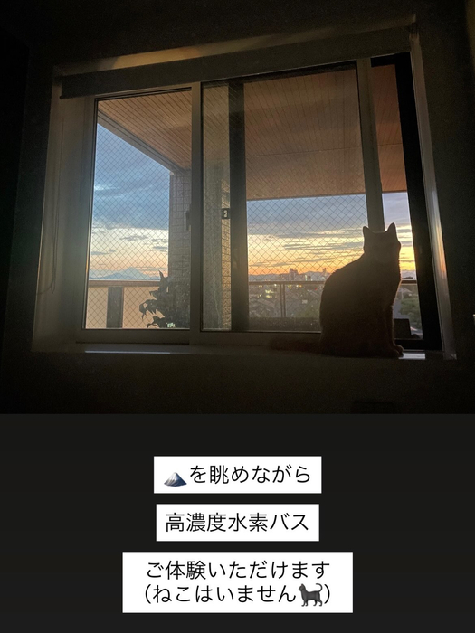 画像367