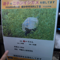画像384