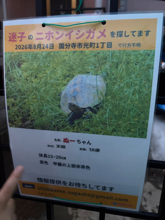 画像384